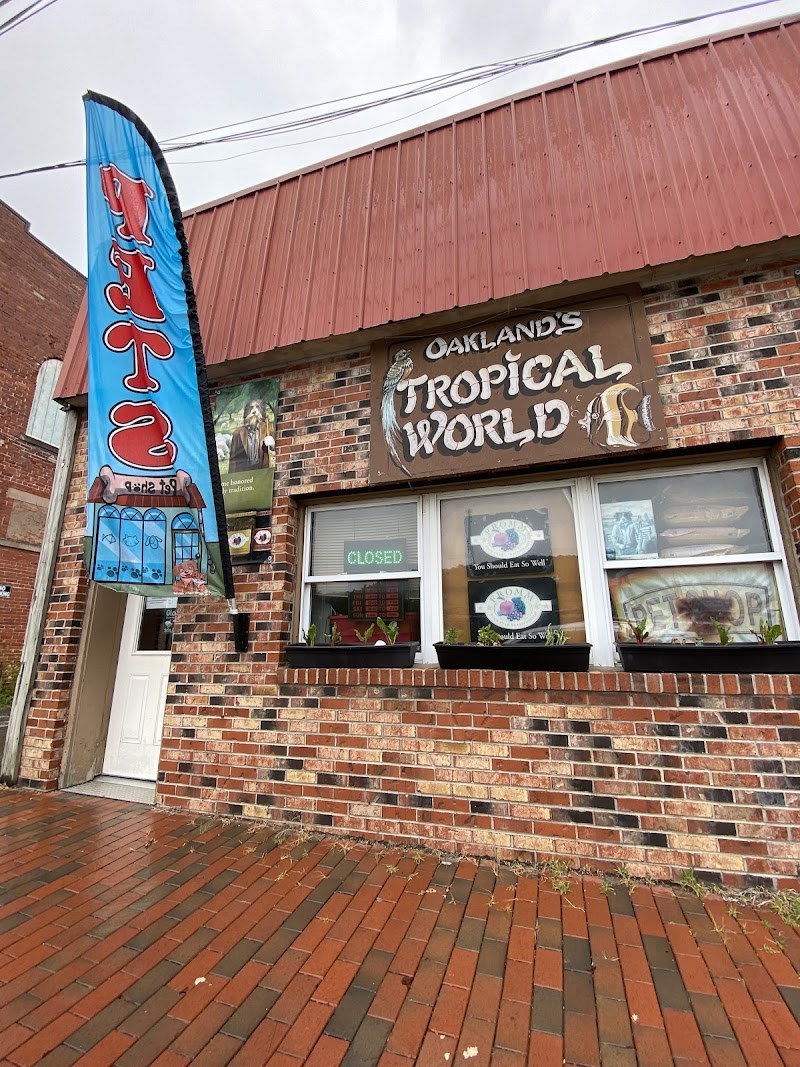 Oakland's Tropical World - Photo 5