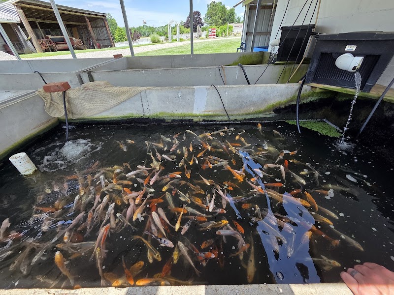 Marlow's Fisheries - Photo 4