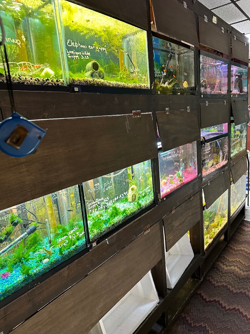 Mom & Dad's - Photo 5