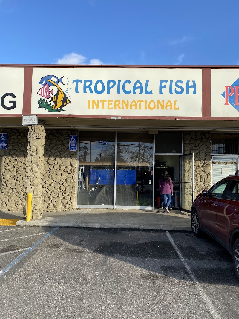 Clear Water Aquarium - Photo 1