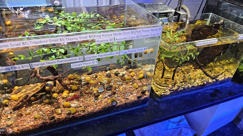 Clear Water Aquarium - Photo 2