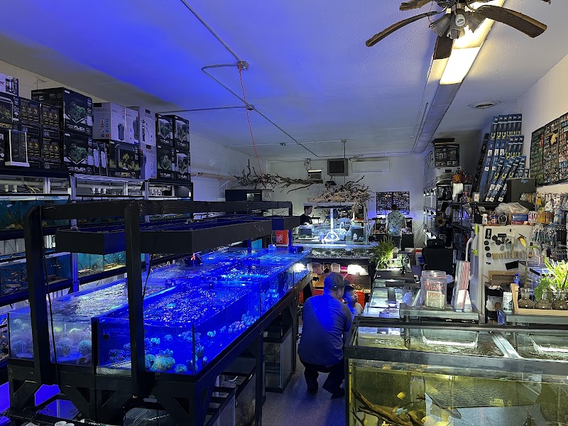 Clear Water Aquarium - Photo 3