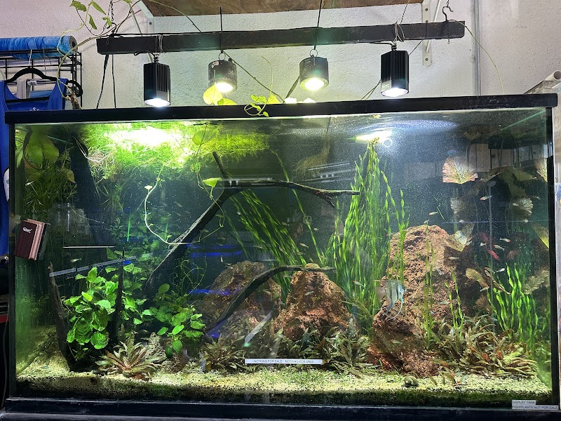 Clear Water Aquarium - Photo 4