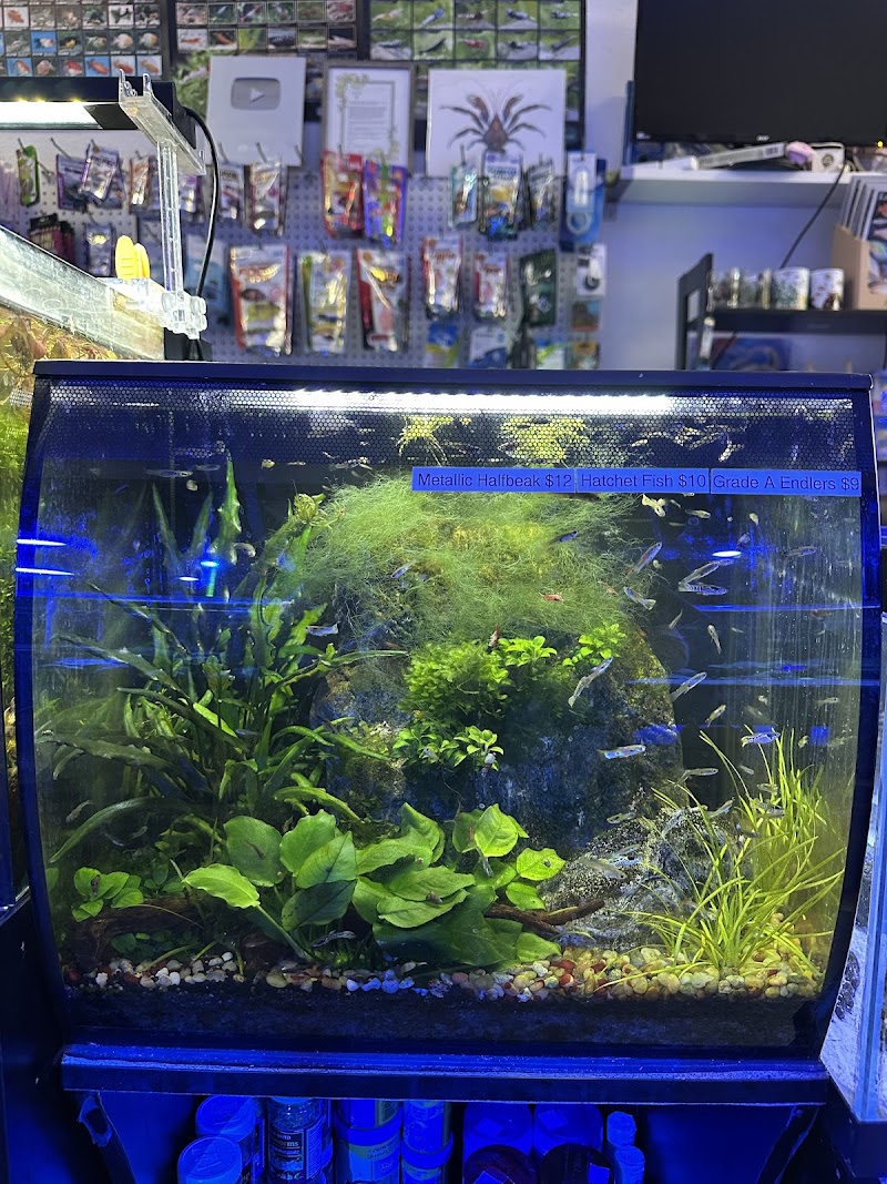 Clear Water Aquarium - Photo 5