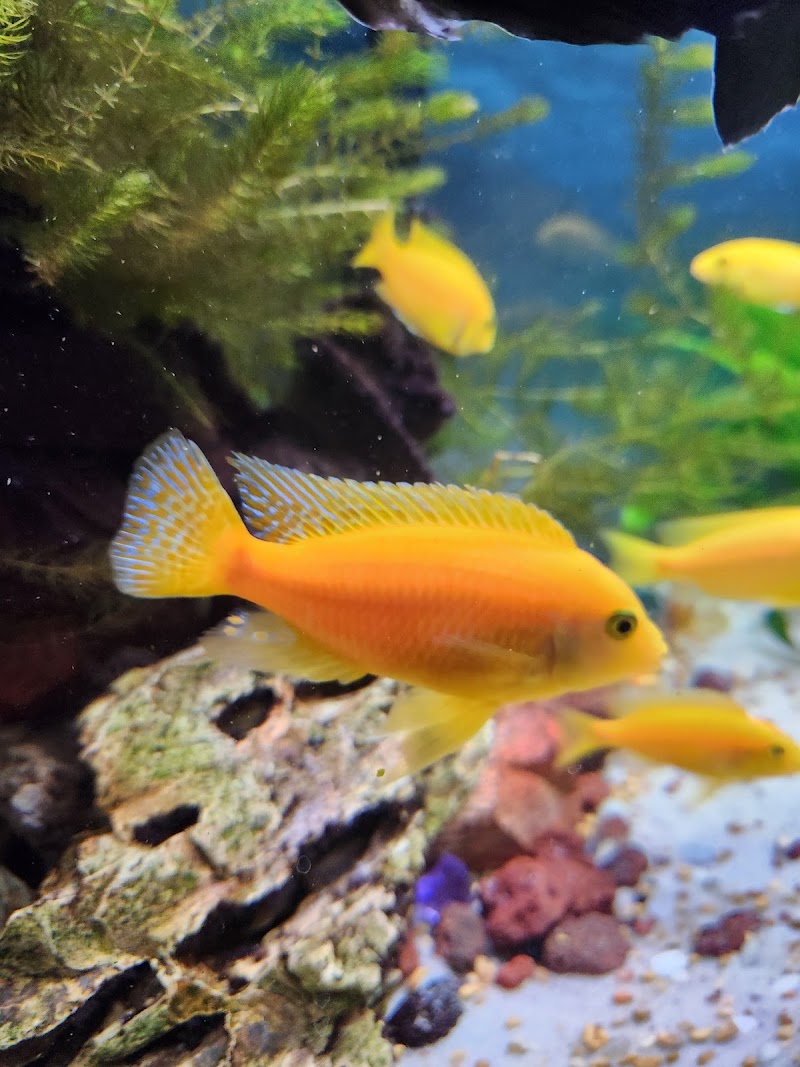 Tropical Treasures Wyo LLC - Photo 5