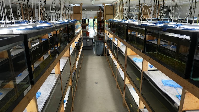 Dan's Fish - Photo 1