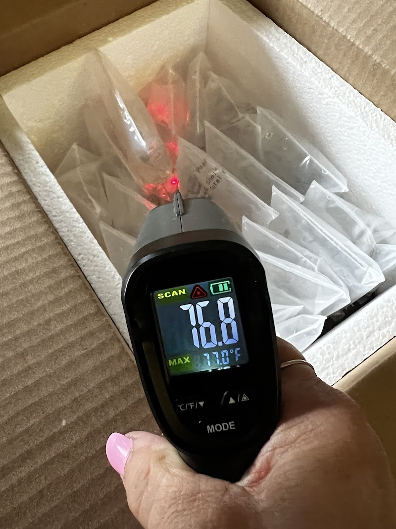 Dan's Fish - Photo 5