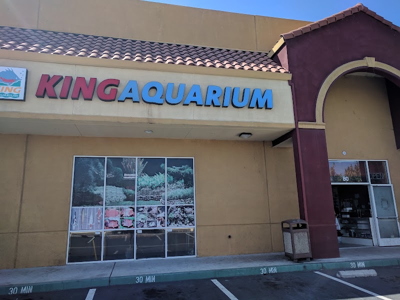 King Aquarium - Photo 1