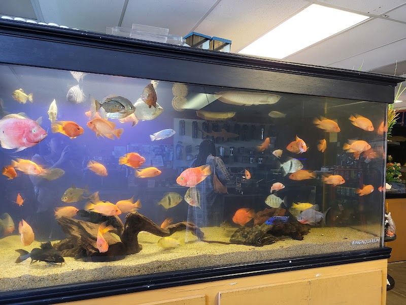 King Aquarium - Photo 2