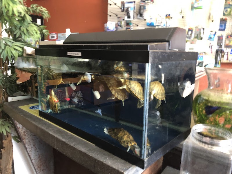 King Aquarium - Photo 4