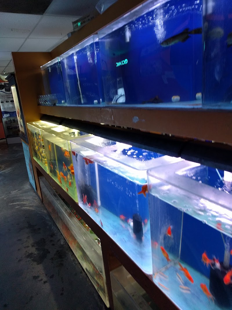 King Aquarium - Photo 5