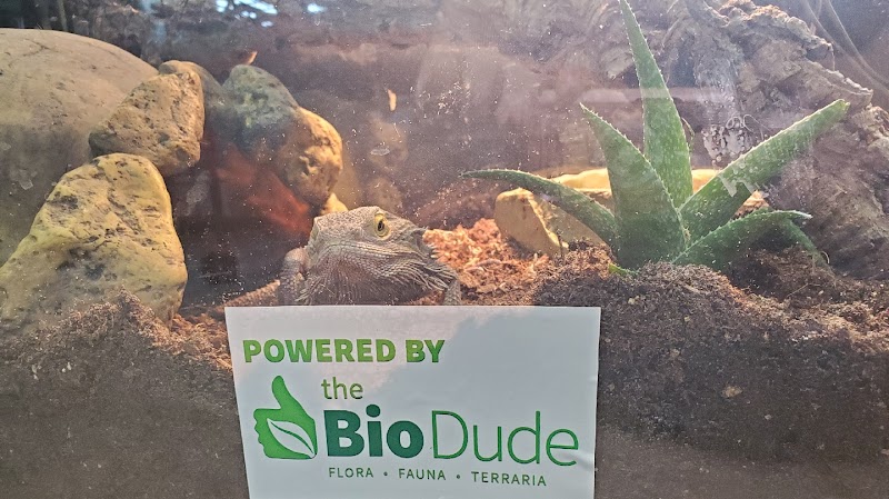 Windy City Pet Store - Photo 2