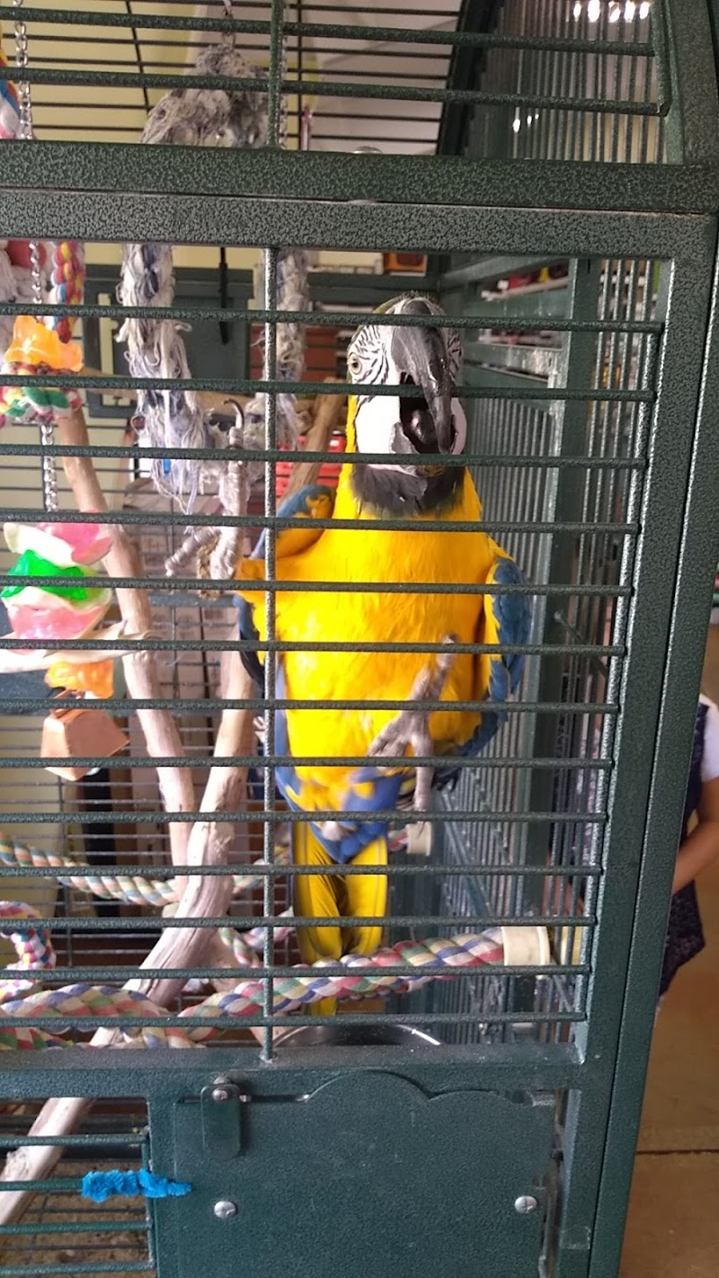 Joe's Pet Place - Photo 2