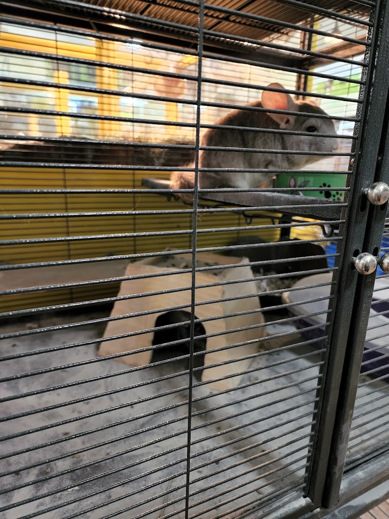 Joe's Pet Place - Photo 5