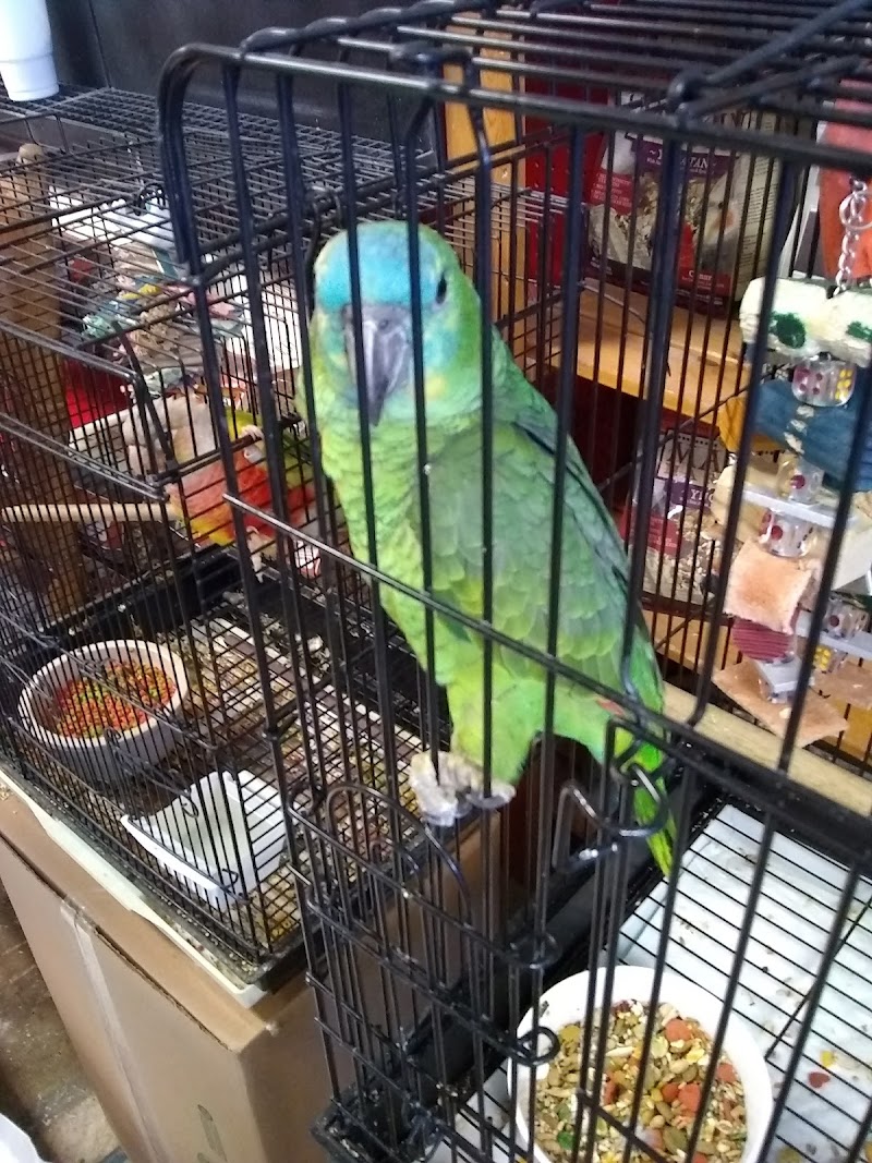 Bayouabird - Photo 1