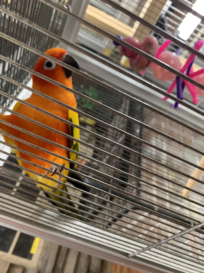 Bayouabird - Photo 4