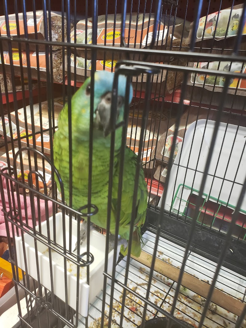 Bayouabird - Photo 5