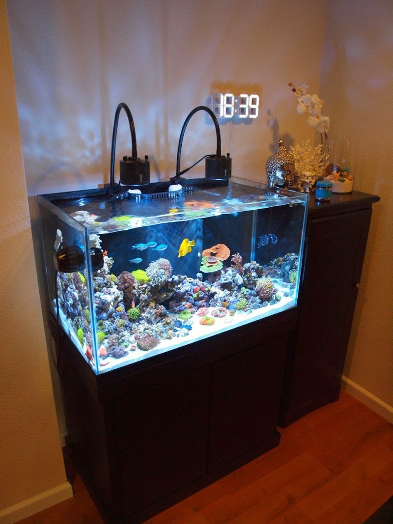 Aqua Lab Aquaria - Photo 3