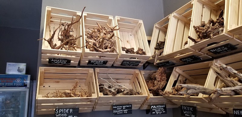 Aqua Lab Aquaria - Photo 4