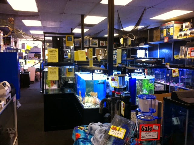 Aquatic Pets and Reptiles - Photo 5