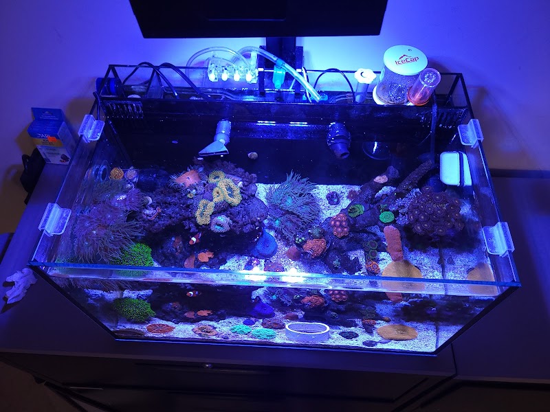 Tanknicians - Photo 1