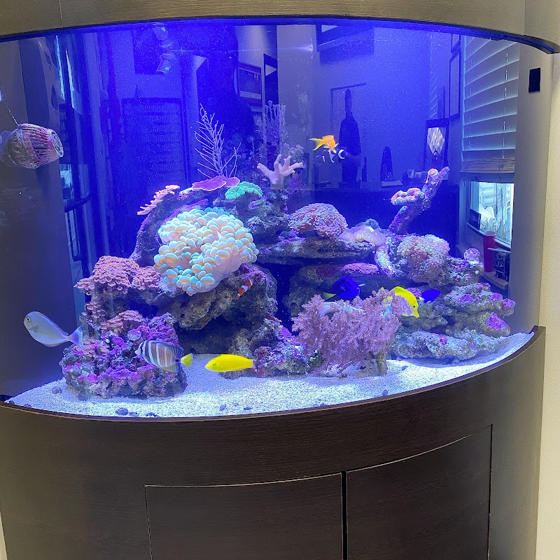 Tanknicians - Photo 3