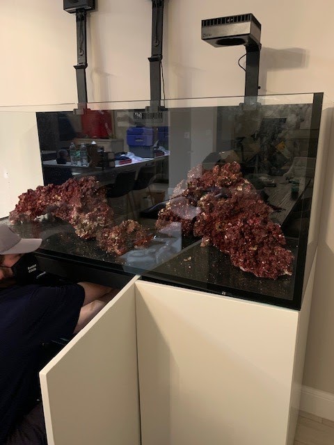 Tanknicians - Photo 4