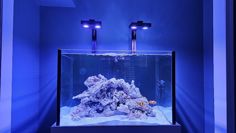 Tanknicians - Photo 5