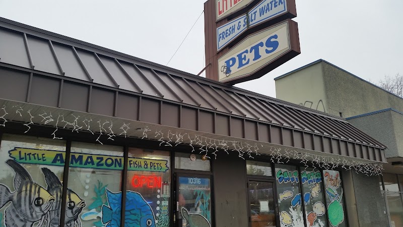 Little Amazon Fish & Pet - Photo 1