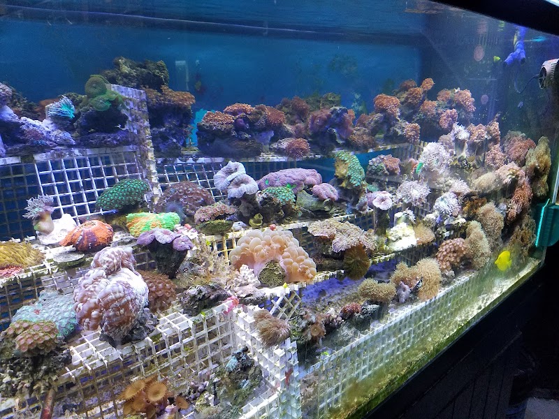 Little Amazon Fish & Pet - Photo 2