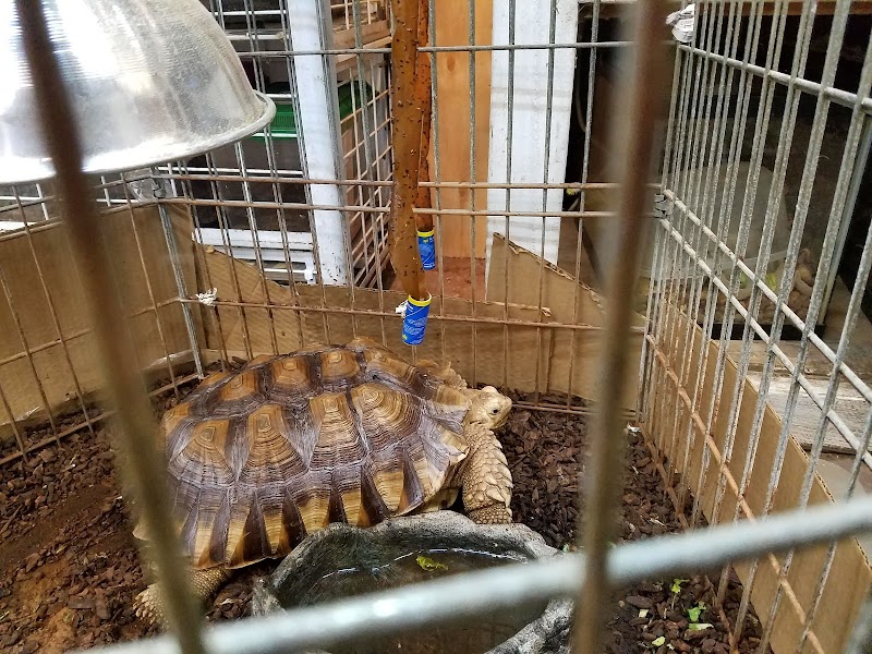 Little Amazon Fish & Pet - Photo 3