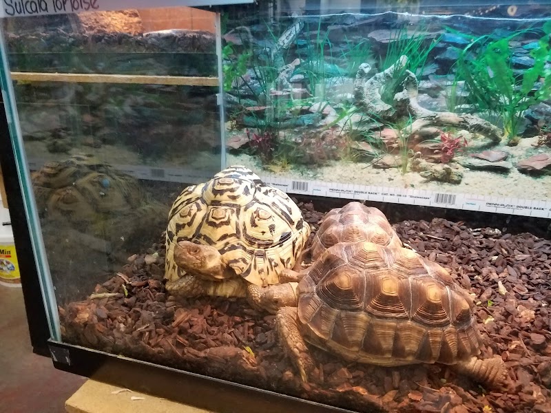 Little Amazon Fish & Pet - Photo 4