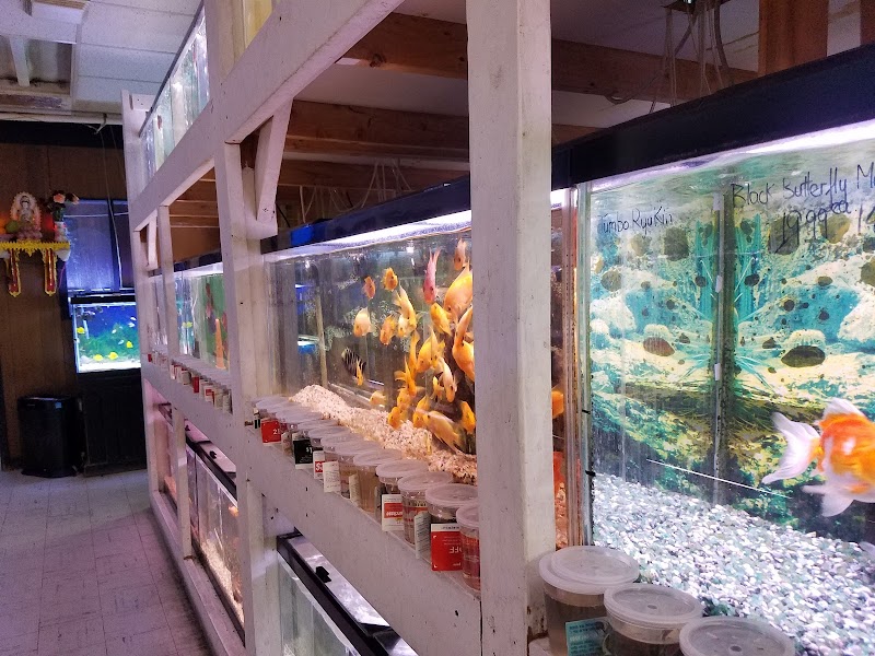 Little Amazon Fish & Pet - Photo 5