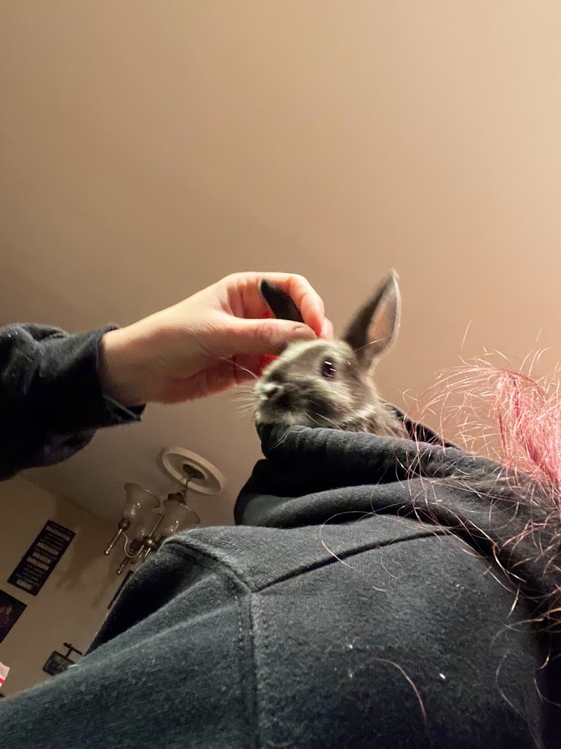 Lacey Pet Supply with Next Level Exotics - Photo 2