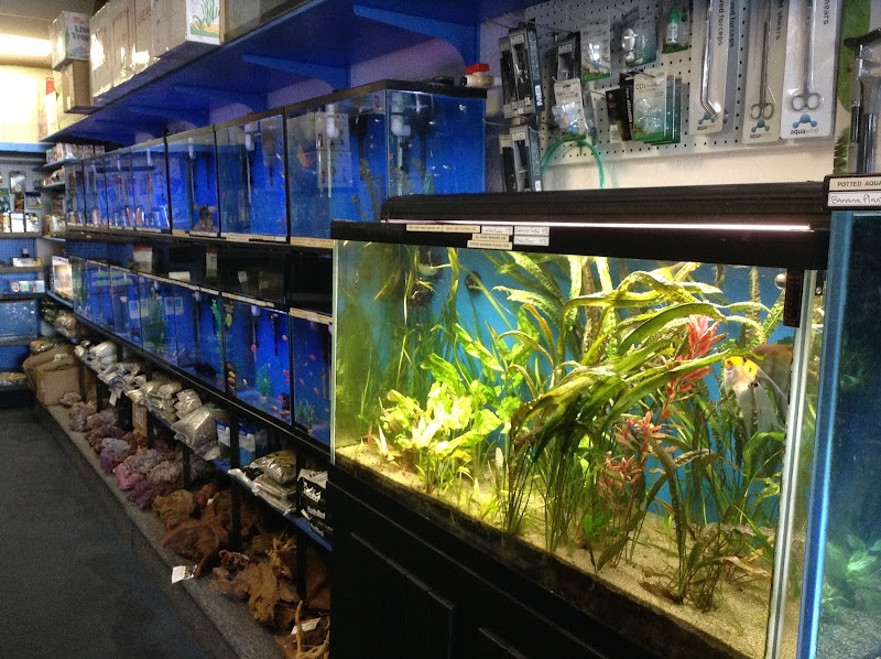 Seven Seas Aquarium - Photo 1