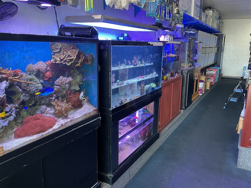 Seven Seas Aquarium - Photo 2