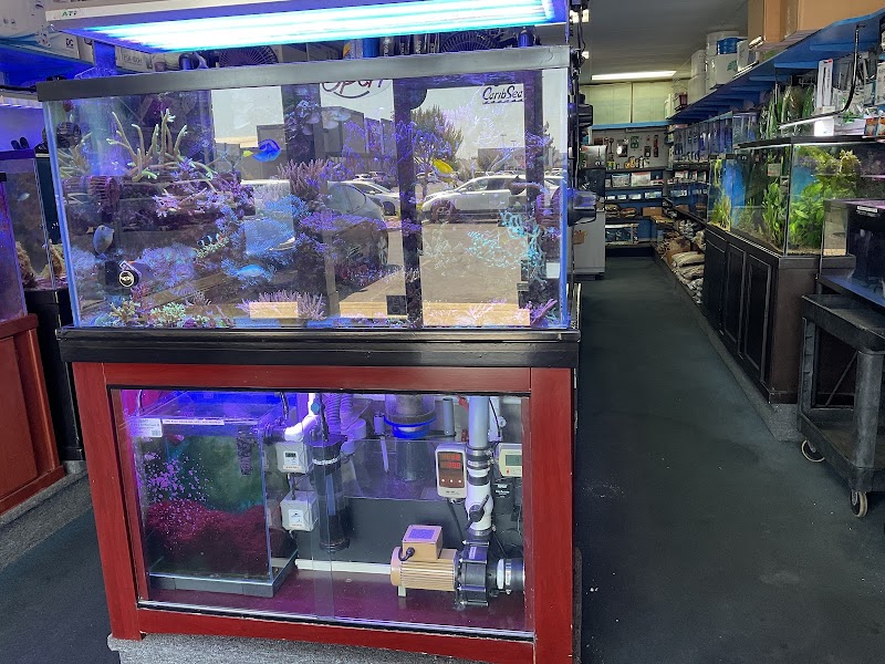 Seven Seas Aquarium - Photo 3