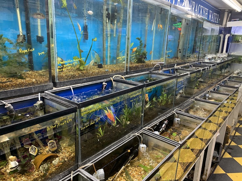 Brooklyn Zoo & Aquarium Pet Store - Photo 5
