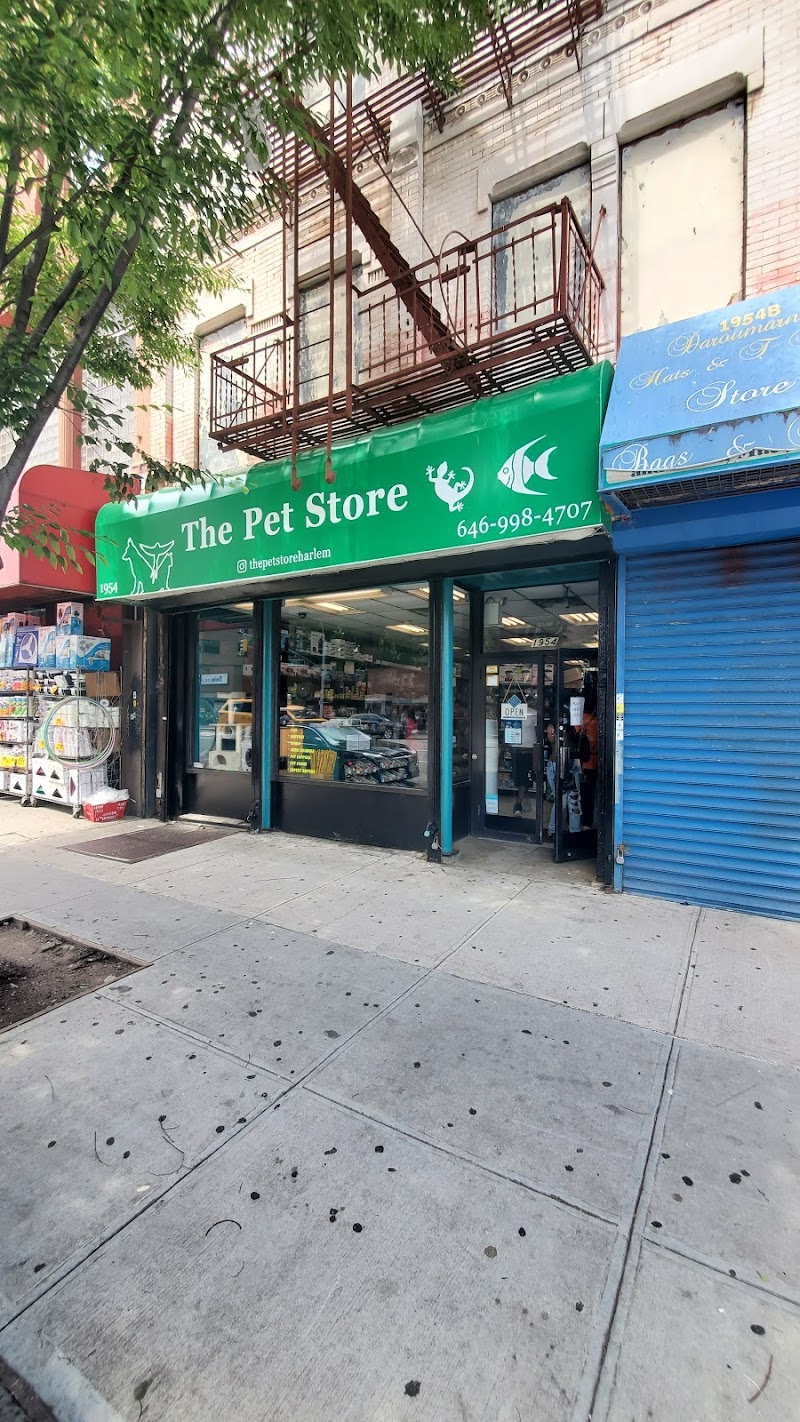 The Pet Store - Photo 1