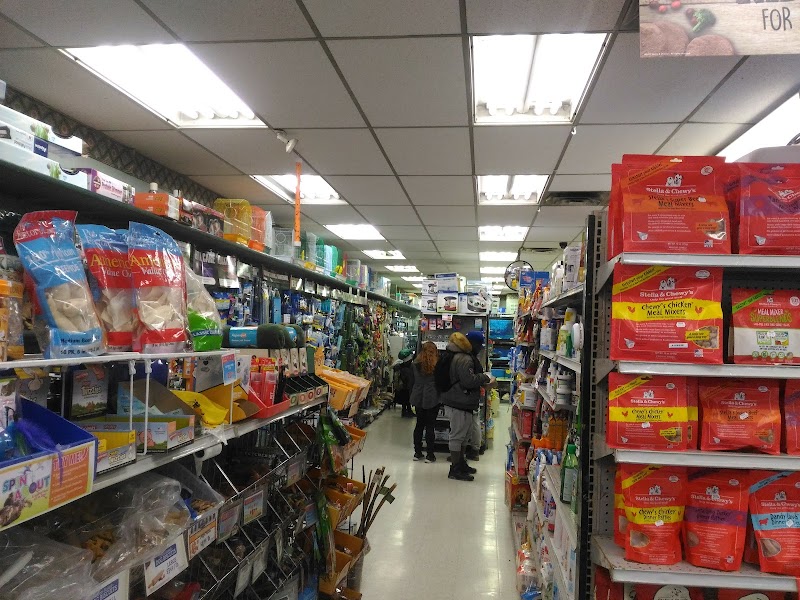 The Pet Store - Photo 2