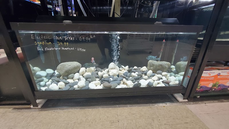 The Pet Store - Photo 3