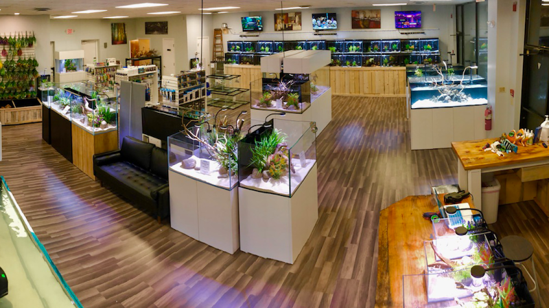 OSA Aquarium Superstores & Services- Seekonk MA - Photo 2