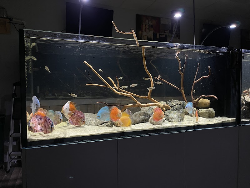 OSA Aquarium Superstores & Services- Seekonk MA - Photo 4