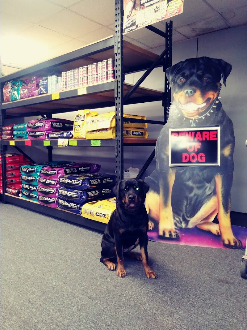 M & M Pet Supplies Inc - Photo 1