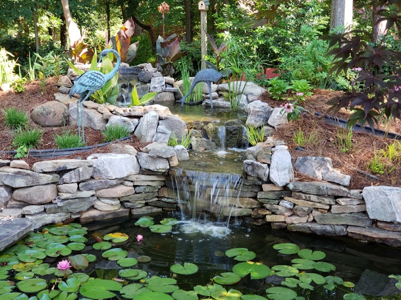 Kol Koi Pondscapes - Photo 2