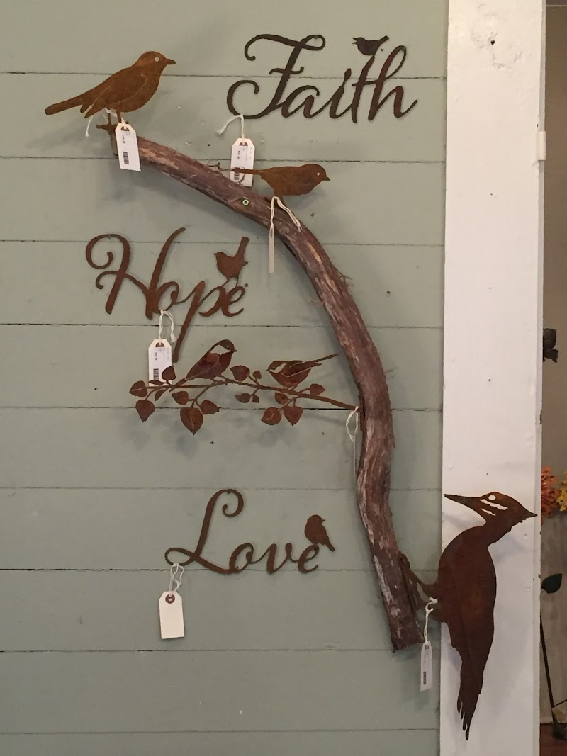 Kol Koi Pondscapes - Photo 3