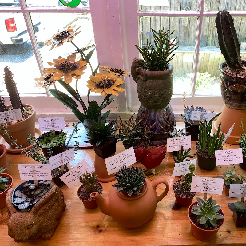 Kol Koi Pondscapes - Photo 5