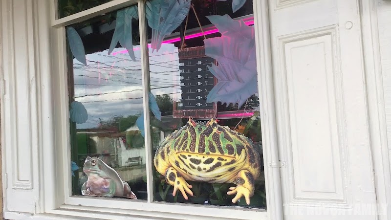 The Reptile Depot - Photo 1