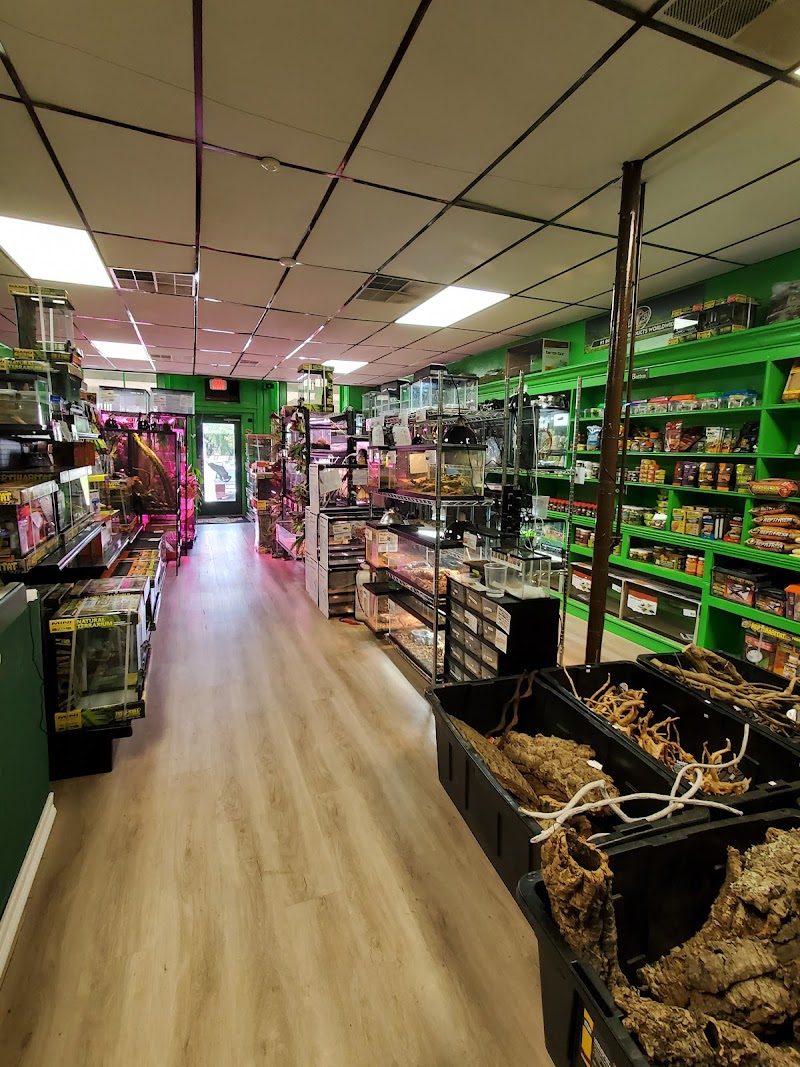 The Reptile Depot - Photo 3