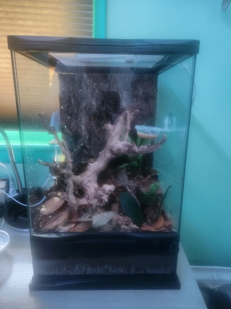 The Reptile Depot - Photo 4